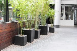 Garden Pots