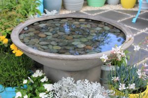 water features 1 1 scaled